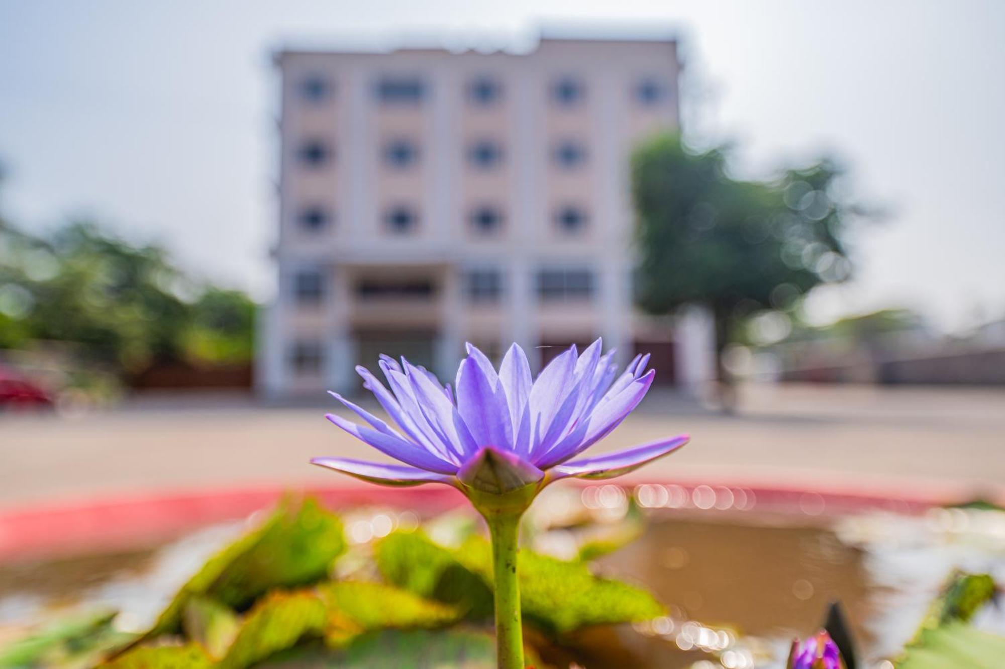 Hotel Lotus Leaf Pali  Exterior foto